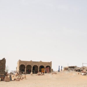 Fossil Hunting & Shopping Tour in Erfoud