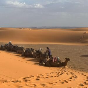 2-Night Sahara Wild Camp with Meals & Camel Ride