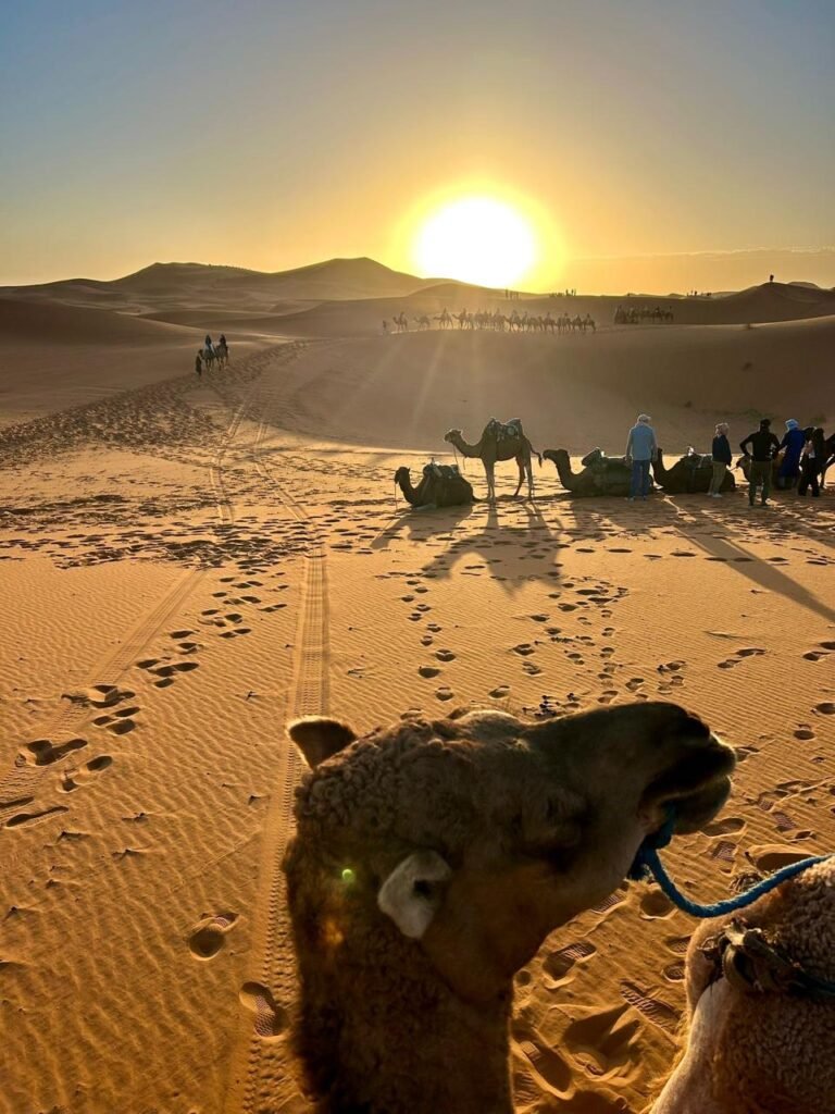 Sunrise Camel Ride Merzouga – Erg Chebbi, Morocco